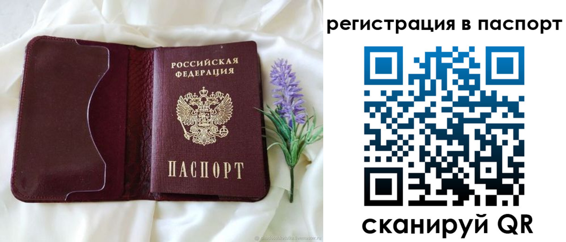 временная регистрация для всех в Оренбургской области